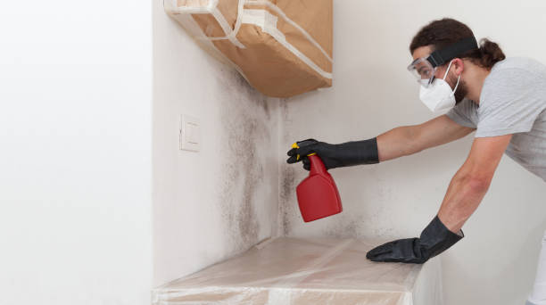 Professional Bathroom Mold Removal technician working in Wake Forest, NC