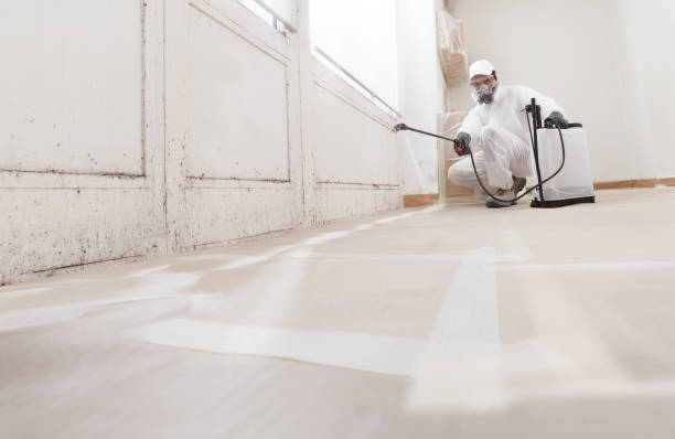 24/7 Emergency Bathroom Mold Removal experts in Wake Forest, NC