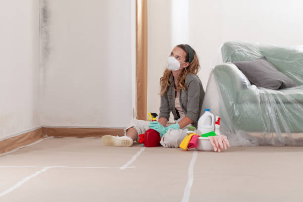 Reliable Bathroom Mold Removal contractor in Wake Forest, NC by Car Mold Remediation