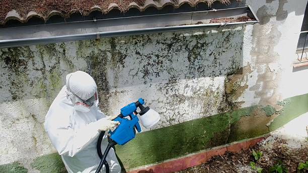 Top rated local Bathroom Mold Removal specialists in Wake Forest, NC